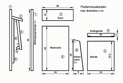 Echoortung eines Großen Mausohrs