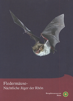 Faltblatt Fledermäuse